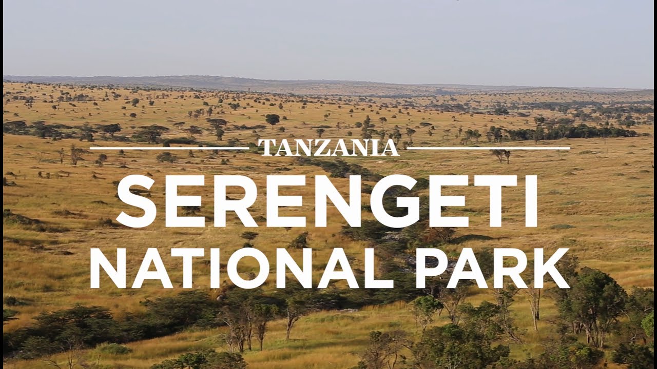 Serengeti National Park - Land Cruiser Hire Tanzania